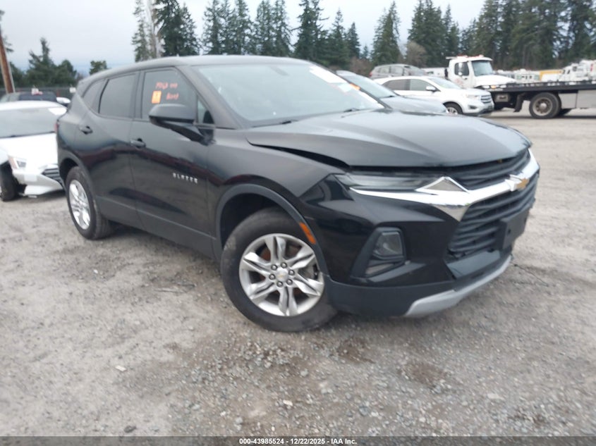 2019 Chevrolet Blazer VIN: 3GNKBBRA3KS689951 Lot: 43985524