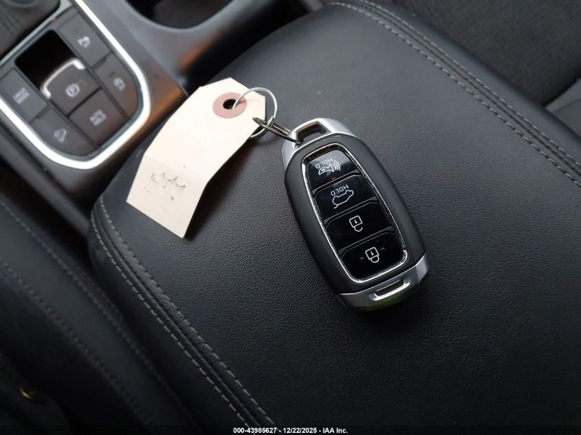 2020 Hyundai Santa Fe Sel VIN: 5NMS3CAD5LH278495 Lot: 43985627