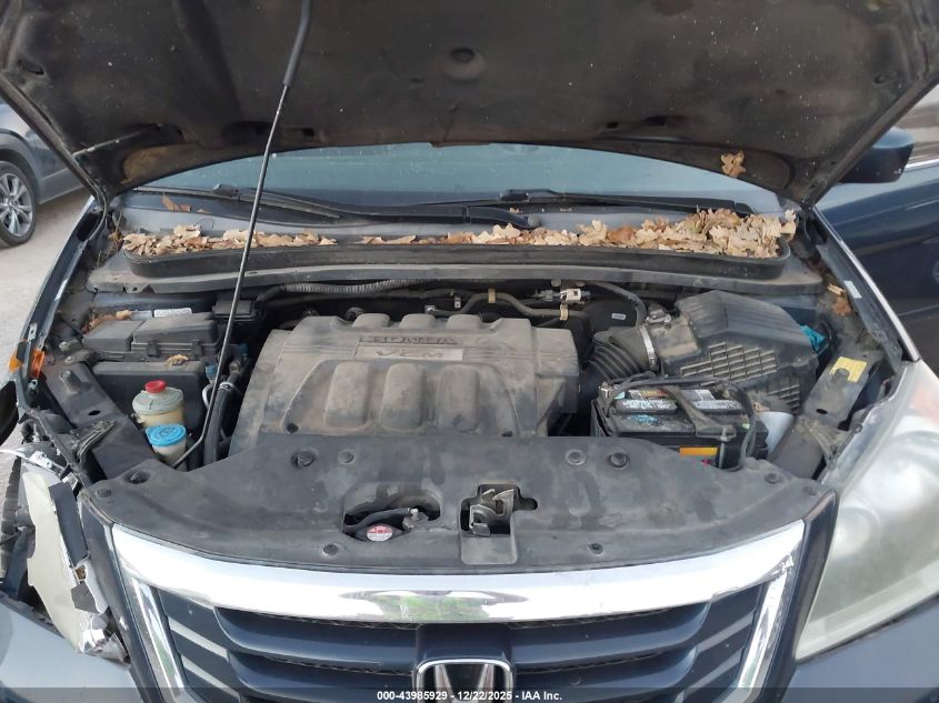2009 Honda Odyssey Ex-L VIN: 5FNRL38789B409329 Lot: 43985929