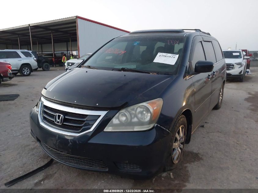 2009 Honda Odyssey Ex-L VIN: 5FNRL38789B409329 Lot: 43985929