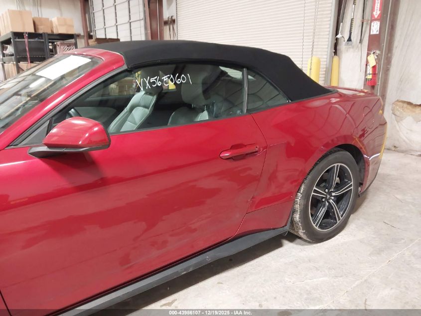 2024 Ford Mustang Ecoboost Premium VIN: 1FAGP8UHXR5127207 Lot: 43986107