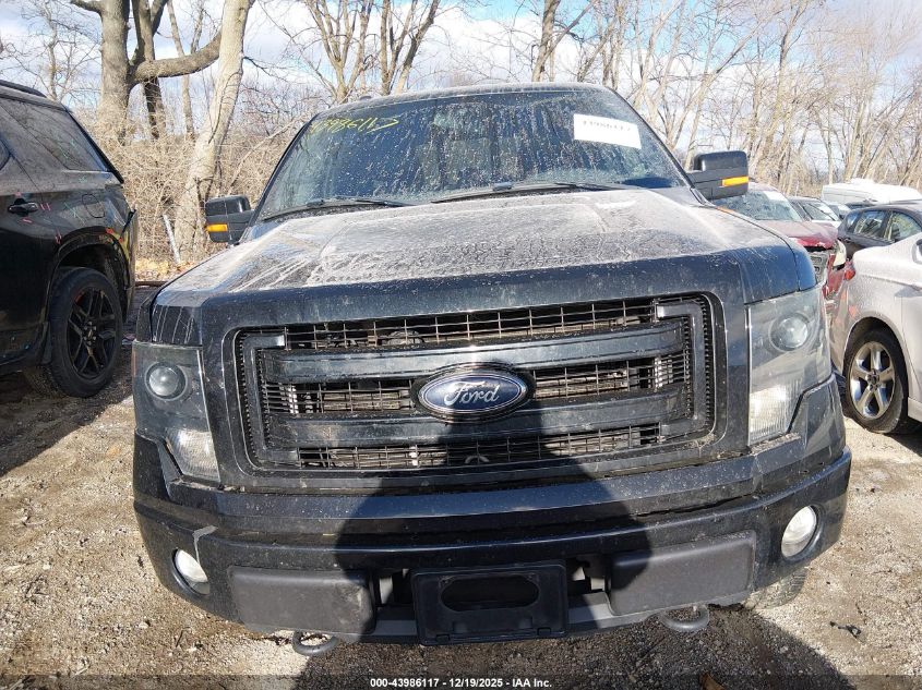 2013 Ford F-150 Fx4 VIN: 1FTFW1EF9DFC29520 Lot: 43986117