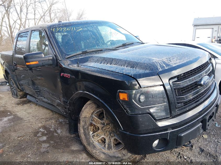 2013 Ford F-150 Fx4 VIN: 1FTFW1EF9DFC29520 Lot: 43986117