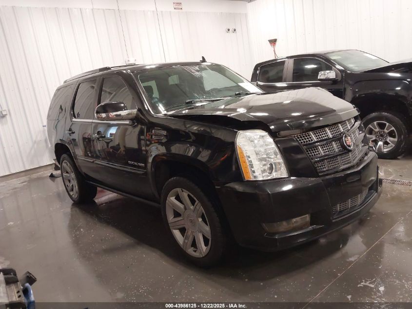 2012 Cadillac Escalade Premium VIN: 1GYS3CEFXCR318586 Lot: 43986125