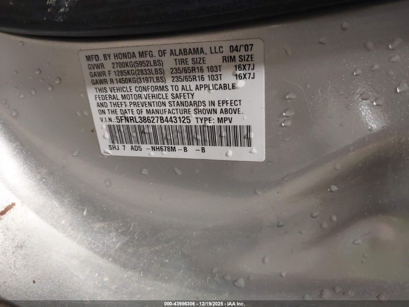2007 Honda Odyssey Ex-L VIN: 5FNRL38627B443125 Lot: 43986306
