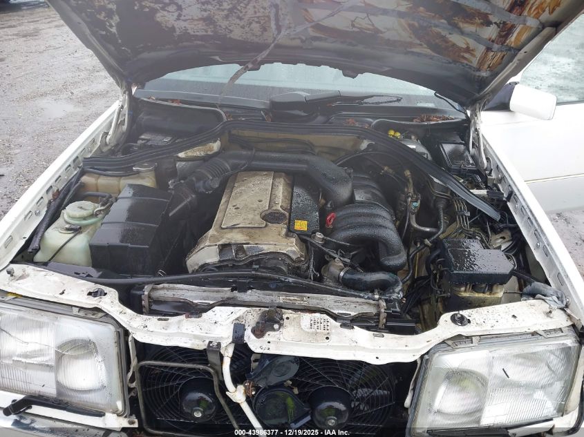 1994 Mercedes-Benz E 320 VIN: WDBEA32E6RC146667 Lot: 43986377