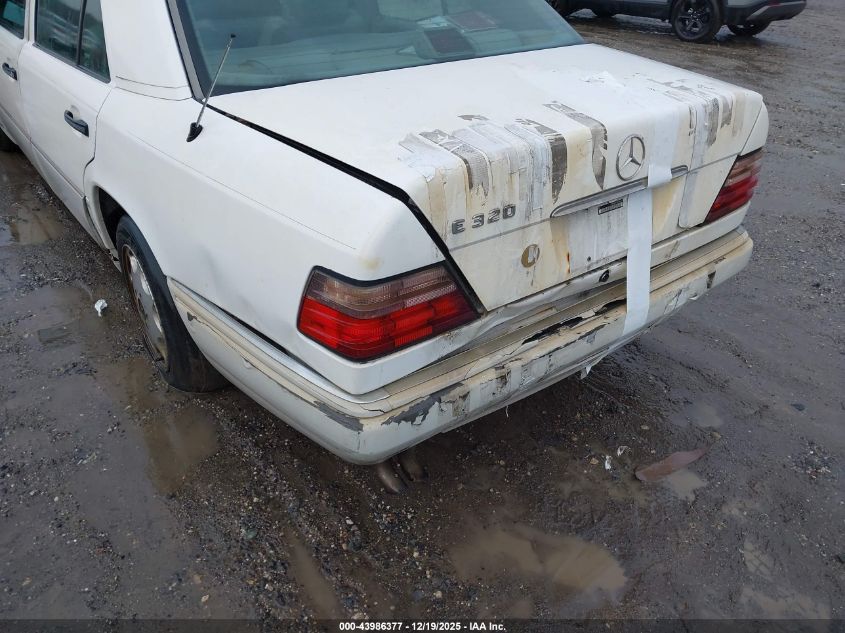 1994 Mercedes-Benz E 320 VIN: WDBEA32E6RC146667 Lot: 43986377