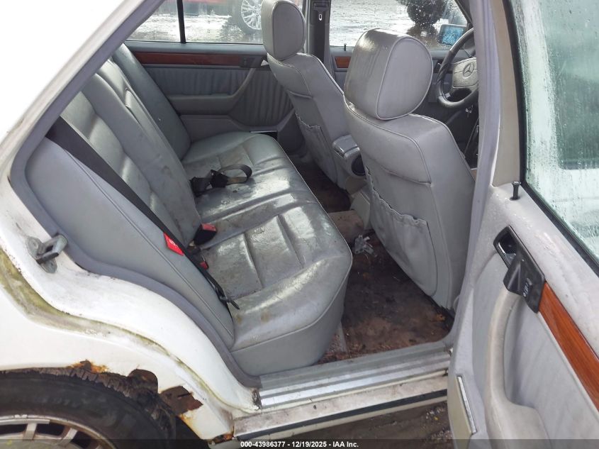 1994 Mercedes-Benz E 320 VIN: WDBEA32E6RC146667 Lot: 43986377