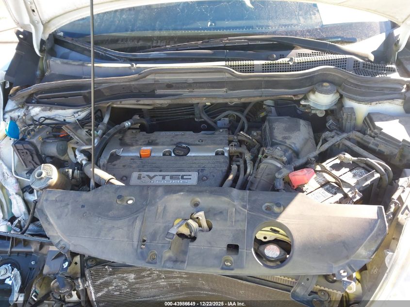 2007 Honda Cr-V Ex-L VIN: JHLRE48787C004925 Lot: 43986649