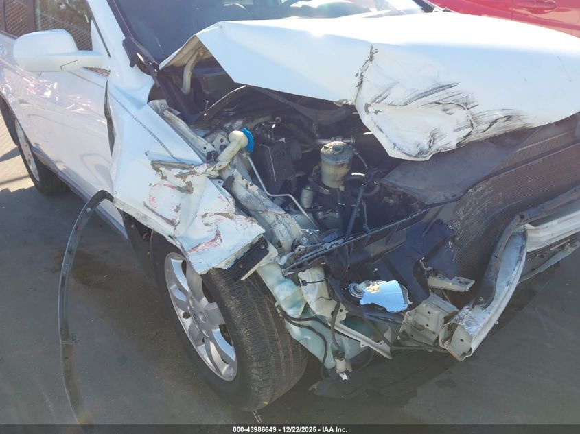 2007 Honda Cr-V Ex-L VIN: JHLRE48787C004925 Lot: 43986649