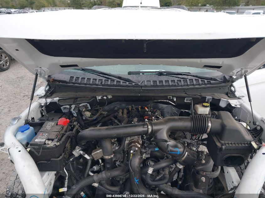 2023 Ford Expedition Xlt VIN: 1FMJU1H89PEA08874 Lot: 43986746