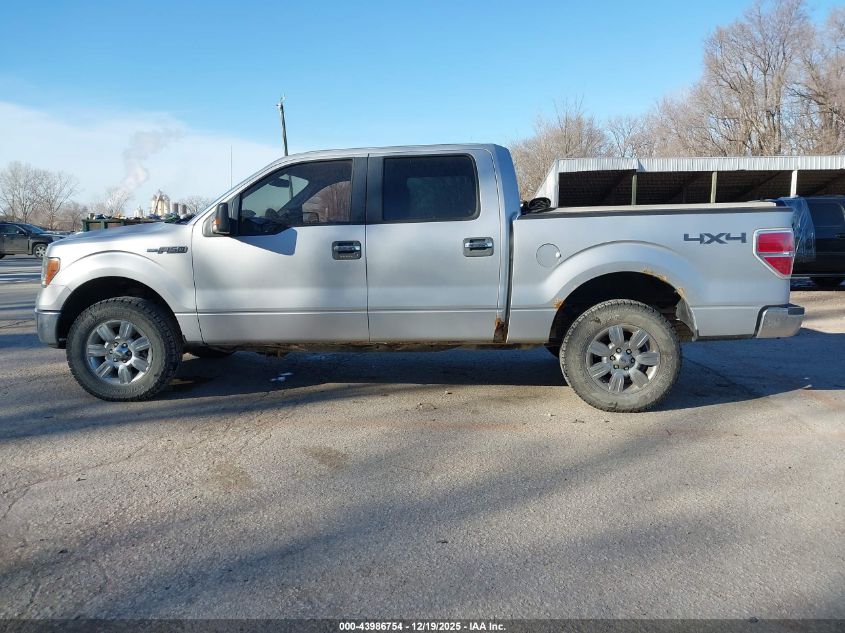 2012 Ford F-150 Xlt VIN: 1FTFW1EF1CKD36504 Lot: 43986754