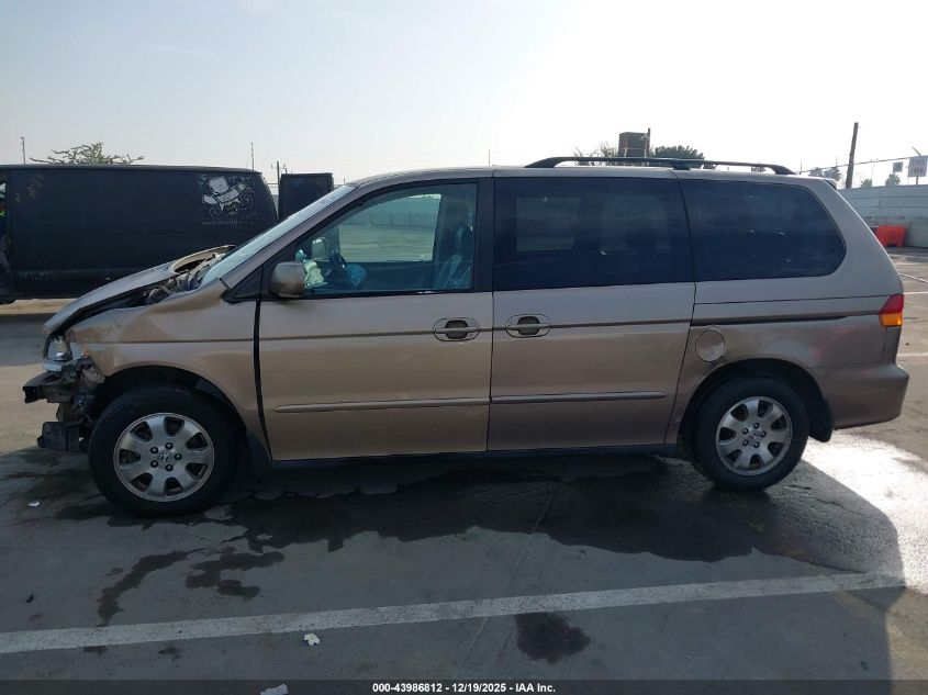 2003 Honda Odyssey Ex-L VIN: 5FNRL18933B113728 Lot: 43986812