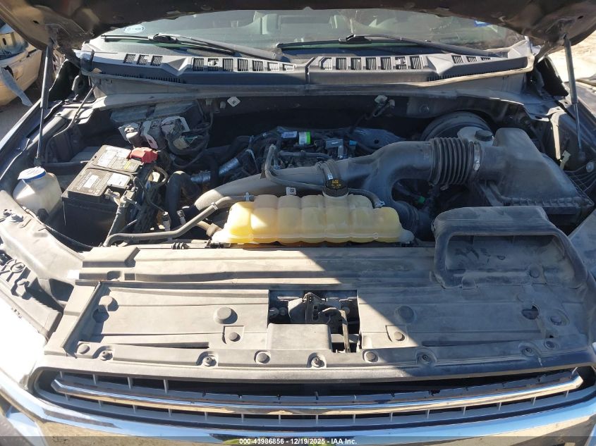 2019 Ford F-150 Xlt VIN: 1FTEW1CP8KKE75924 Lot: 43986856