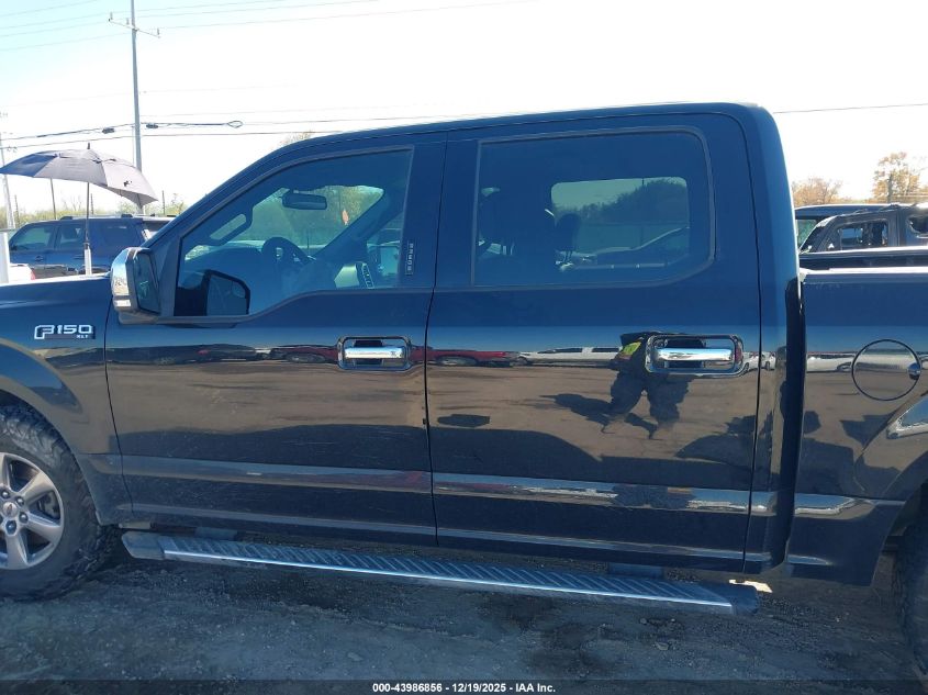 2019 Ford F-150 Xlt VIN: 1FTEW1CP8KKE75924 Lot: 43986856