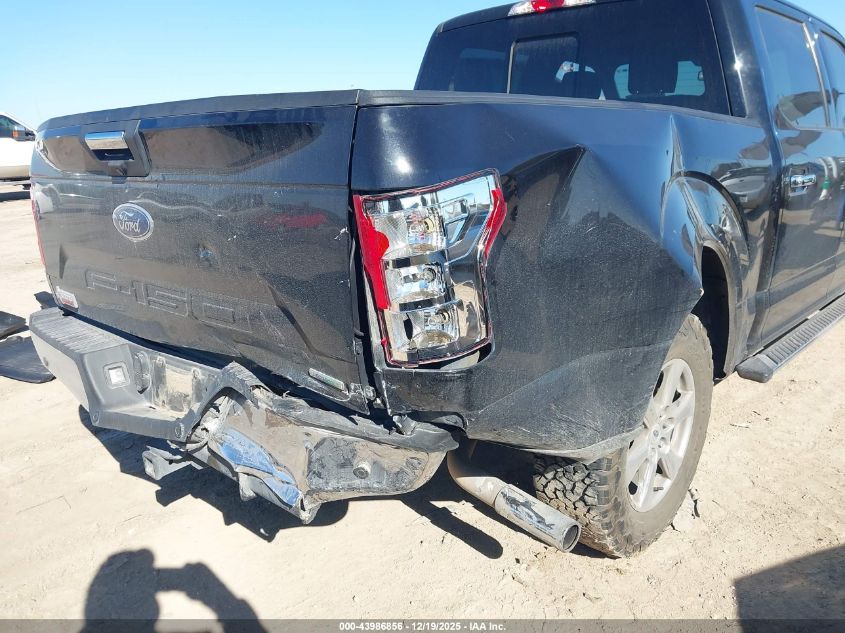 2019 Ford F-150 Xlt VIN: 1FTEW1CP8KKE75924 Lot: 43986856