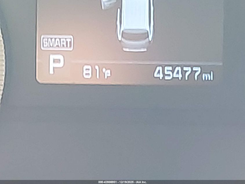 2022 Kia Telluride Lx VIN: 5XYP24HCXNG221864 Lot: 43986951