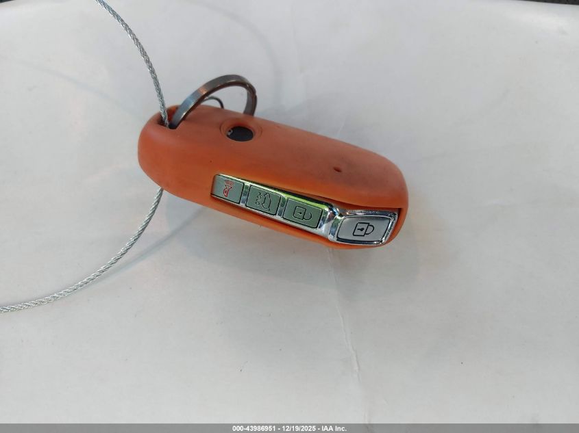 2022 Kia Telluride Lx VIN: 5XYP24HCXNG221864 Lot: 43986951