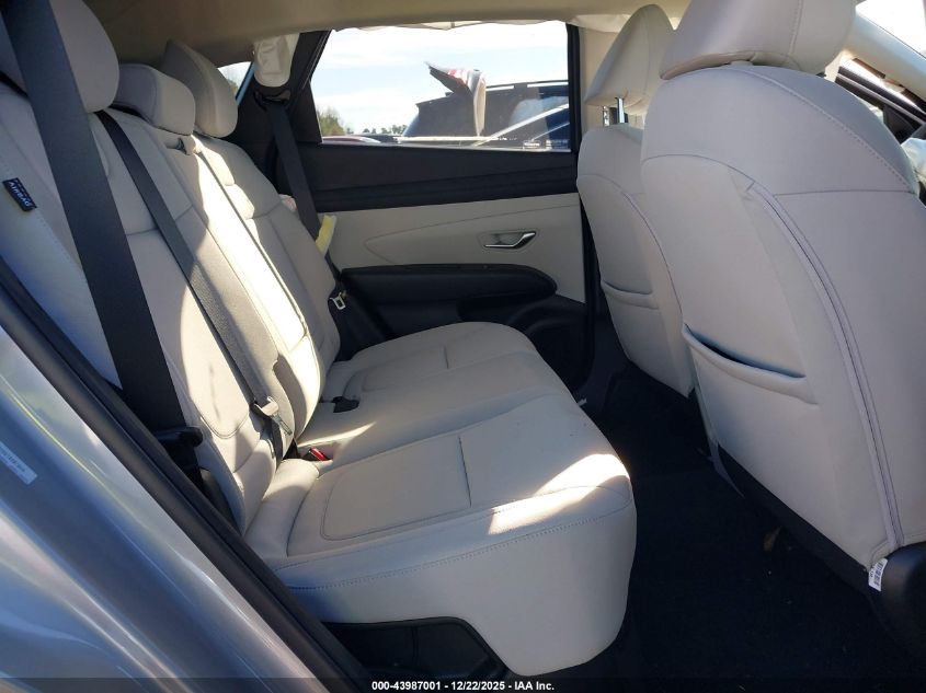 2025 Hyundai Tucson Hybrid Blue VIN: KM8JBDD19SU313371 Lot: 43987001