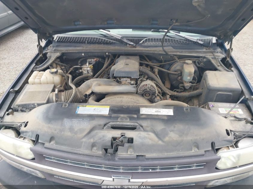 1999 Chevrolet Silverado 1500 Ls VIN: 1GCEK19T0XE193265 Lot: 43987030