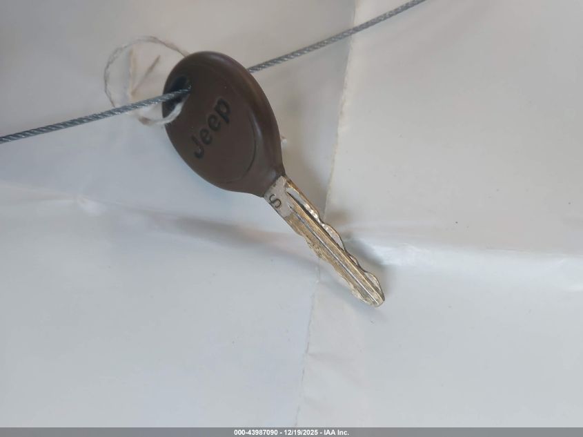 2007 Jeep Wrangler Rubicon VIN: 1J4GA64137L126647 Lot: 43987090