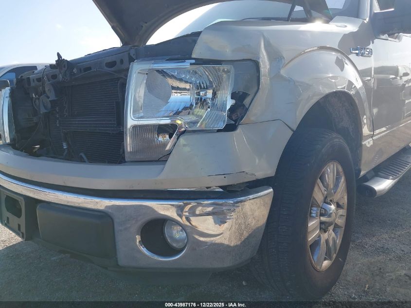 2009 Ford F-150 Stx/Xl/Xlt VIN: 1FTRX12889KC44055 Lot: 43987176