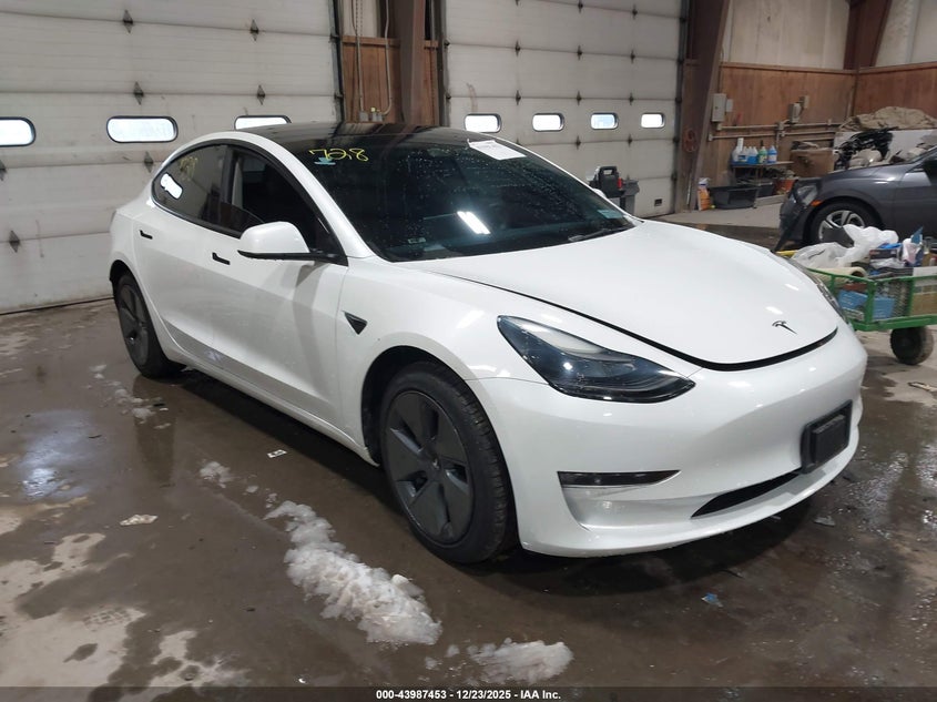 5YJ3E1EA8PF567333 2023 Tesla Model 3 Rear-Wheel Drive auction photo 1