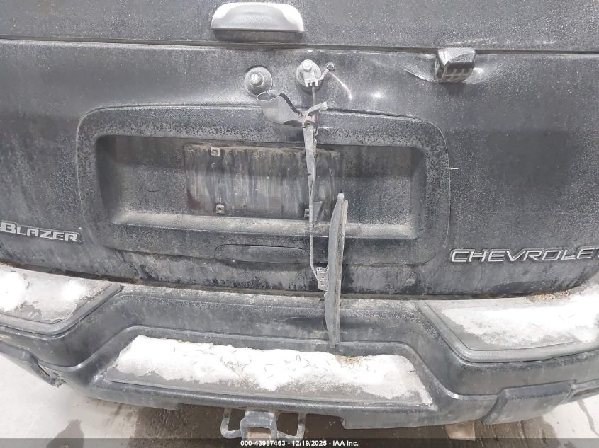 2002 Chevrolet Trailblazer Ls VIN: 1GNDT13S822236048 Lot: 43987463