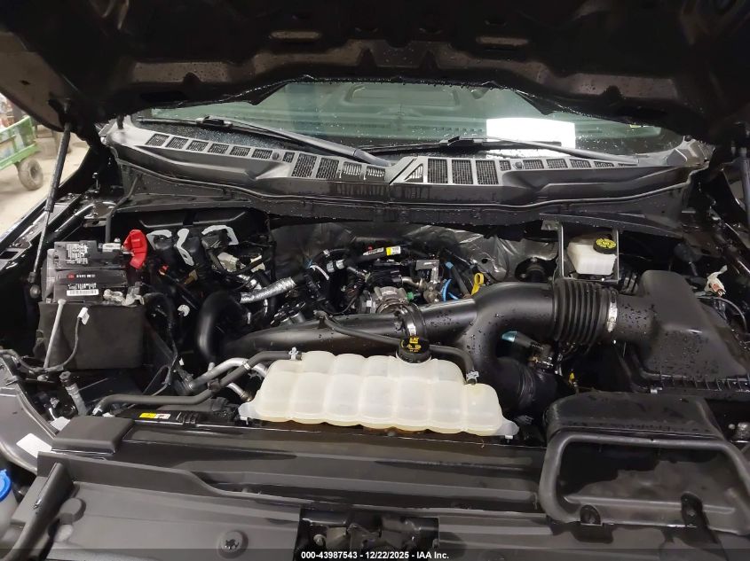 2021 Ford F-150 Xl VIN: 1FTEX1EP3MKE97004 Lot: 43987543