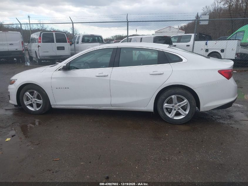 2023 Chevrolet Malibu Fwd Ls VIN: 1G1ZB5ST5PF119586 Lot: 43987602