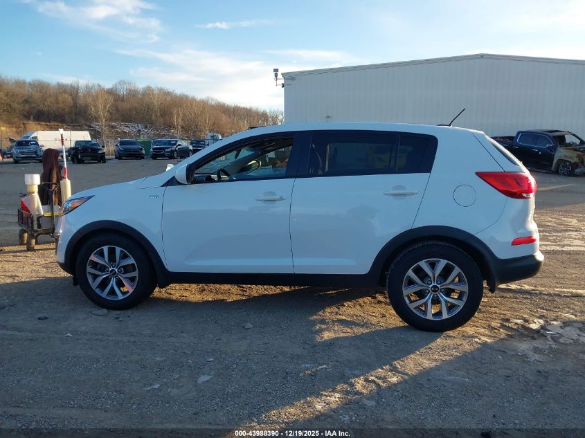 2016 Kia Sportage Lx VIN: KNDPBCAC3G7848894 Lot: 43988390