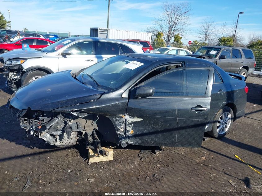 2010 Toyota Corolla S VIN: 2T1BU4EE2AC284182 Lot: 43988450