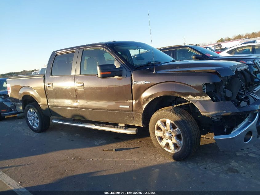 2013 Ford F-150 Xlt VIN: 1FTFW1CT4DKD67594 Lot: 43989121