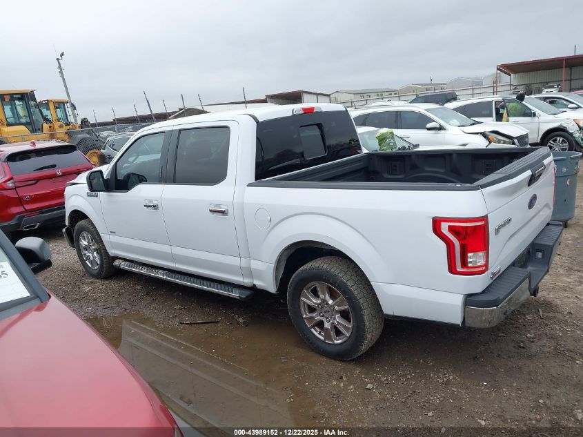 2016 Ford F-150 Xlt VIN: 1FTEW1CP0GKF47352 Lot: 43989152