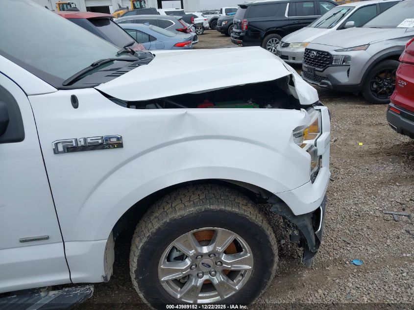 2016 Ford F-150 Xlt VIN: 1FTEW1CP0GKF47352 Lot: 43989152