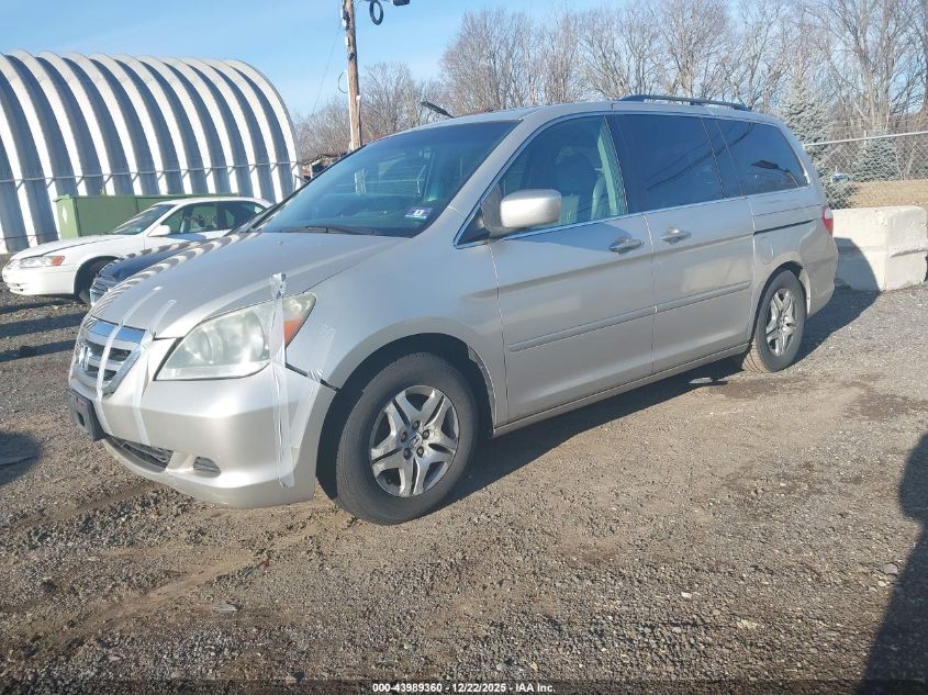 2006 Honda Odyssey Ex-L VIN: 5FNRL38726B445982 Lot: 43989360