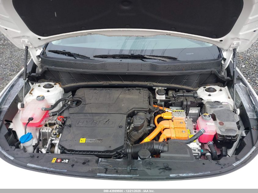 2025 Kia Niro Ex VIN: KNDCR3LE8S5259935 Lot: 43989500