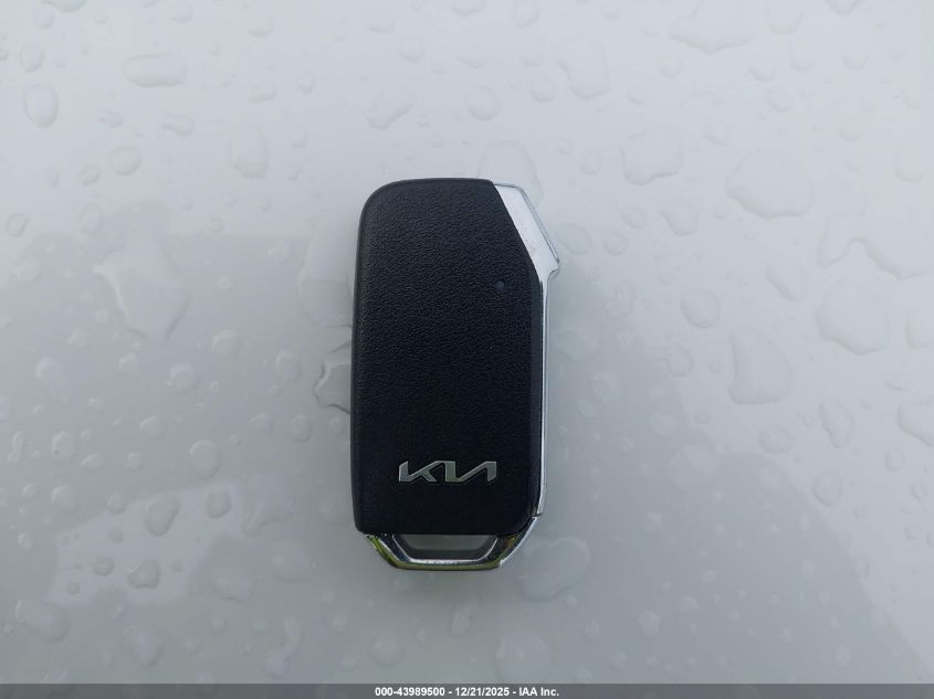 2025 Kia Niro Ex VIN: KNDCR3LE8S5259935 Lot: 43989500