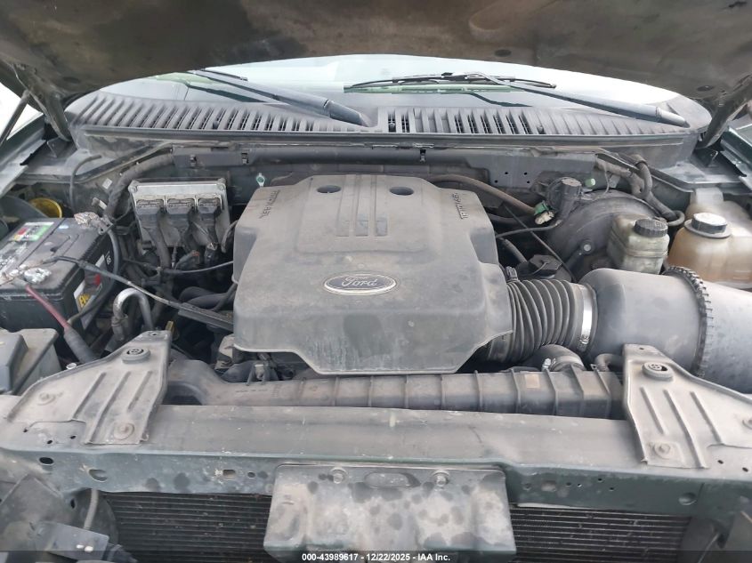 2004 Ford Expedition Eddie Bauer VIN: 1FMRU17W64LA60294 Lot: 43989617