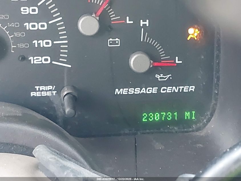 2004 Ford Expedition Eddie Bauer VIN: 1FMRU17W64LA60294 Lot: 43989617