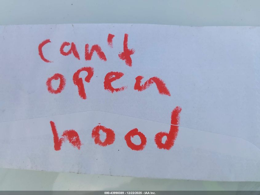 2023 Tesla Model Y Awd/Long Range Dual Motor All-Wheel Drive VIN: 7SAYGDEE4PA134810 Lot: 43990389