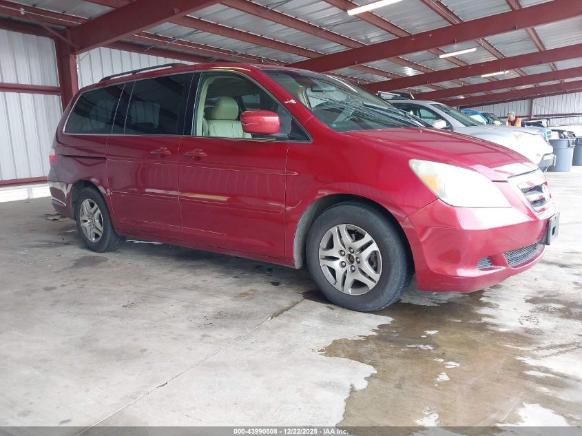 2005 Honda Odyssey Ex-L VIN: 5FNRL38705B004902 Lot: 43990508