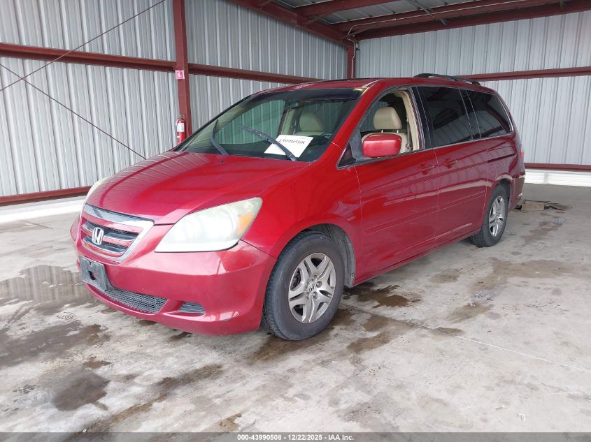 2005 Honda Odyssey Ex-L VIN: 5FNRL38705B004902 Lot: 43990508