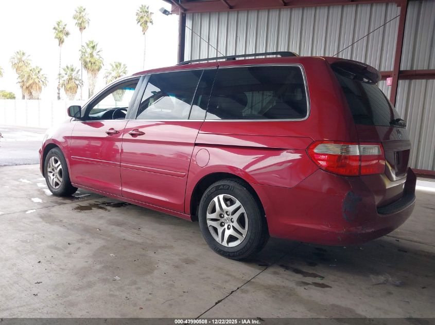 2005 Honda Odyssey Ex-L VIN: 5FNRL38705B004902 Lot: 43990508