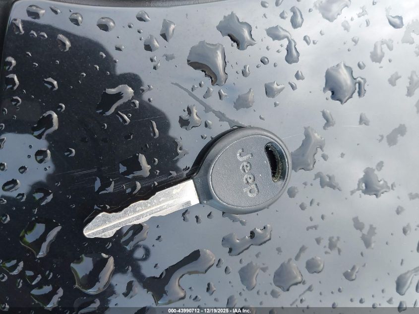 2000 Jeep Wrangler Se VIN: 1J4FA29P4YP729053 Lot: 43990712