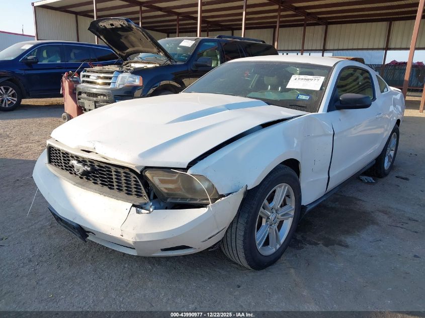 2011 Ford Mustang V6 VIN: 1ZVBP8AM8B5125142 Lot: 43990977