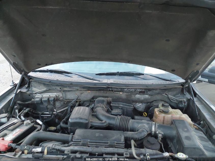 2009 Ford F-150 Fx4/King Ranch/Lariat/Platinum/Xl/Xlt VIN: 1FTPW14V89FB34399 Lot: 43991182