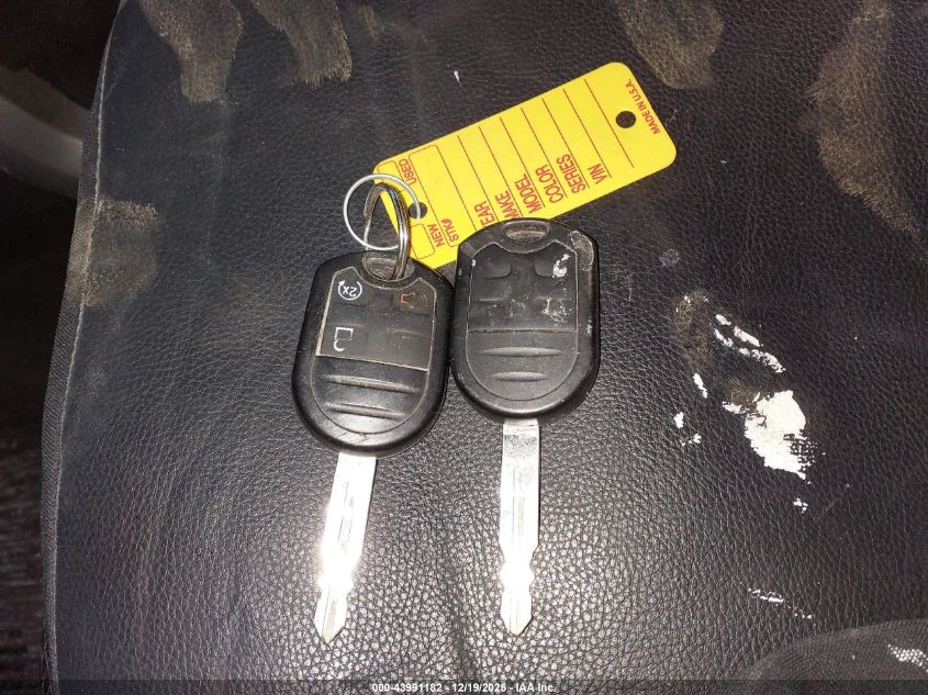 2009 Ford F-150 Fx4/King Ranch/Lariat/Platinum/Xl/Xlt VIN: 1FTPW14V89FB34399 Lot: 43991182