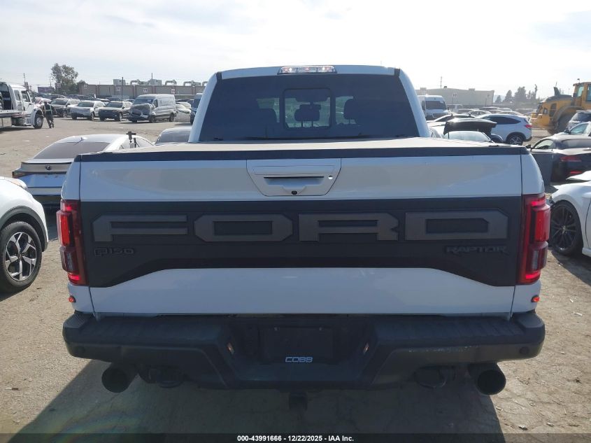 2019 Ford F150 Raptor VIN: 1FTFW1RG1KFA4173 Lot: 43991666