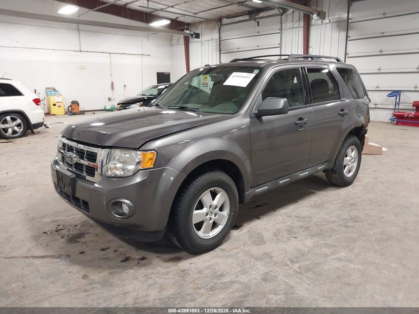 2010 Ford Escape Xlt